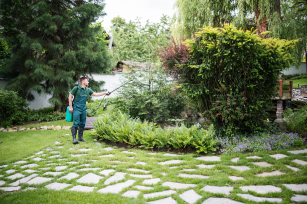 Best Pest Removal Services  in Harlem Heights, FL