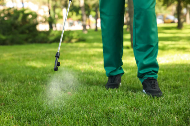Best Spider Control Near Me  in Harlem Heights, FL