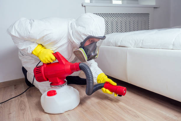 Pest Prevention Services in Harlem Heights, FL