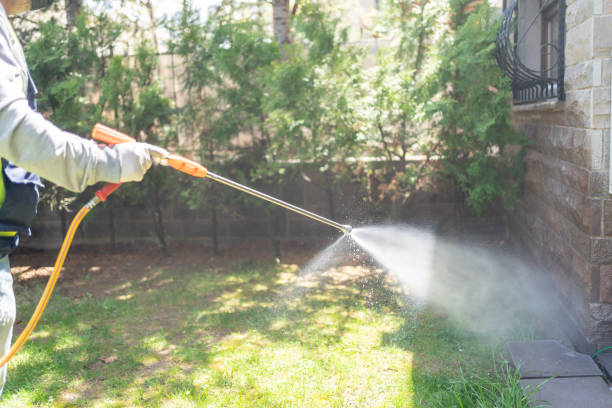 Best Pest Prevention Services  in Harlem Heights, FL