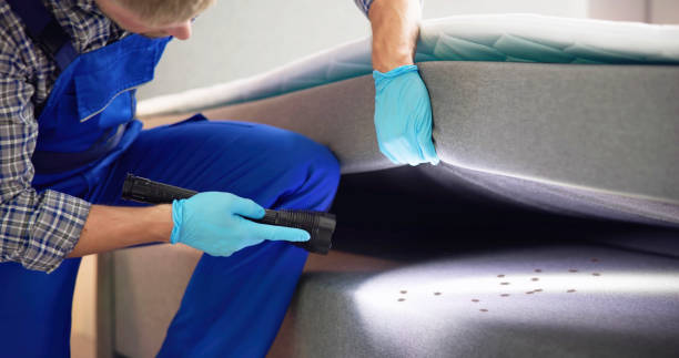 Professional Pest Control in Harlem Heights, FL